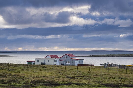 Houses of the settlement (partial view), Settlement, Bleaker Island, West Falkland, Falkland Islands, Great Britain, South Atlantic