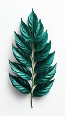 Obraz premium Close up of a single teal leaf with glitter texture on a white background. 