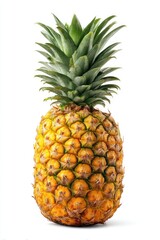 Pineapple fruit