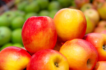 Red apples of various varieties on a farmer's market counter. Natural products, seasonal fruits, local food.