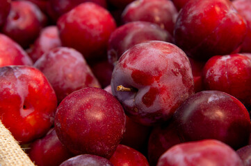 Close-up of ripe plums piled high on a counter in a supermarket or farm shop where produce comes straight from the gardens