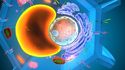 Plant cell structure. 3d illustrations