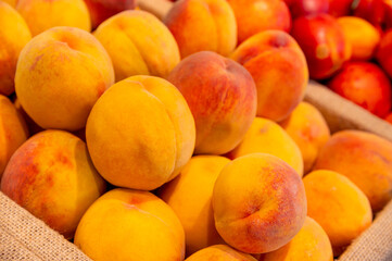 Brightly colored nectarines at the market. A vertical photo of the juicy, fresh fruit