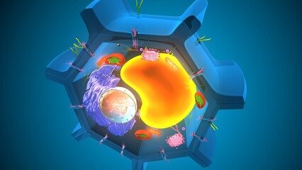 Plant cell structure. 3d illustrations
