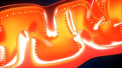  Mitochondria anatomy. 3d illustratins