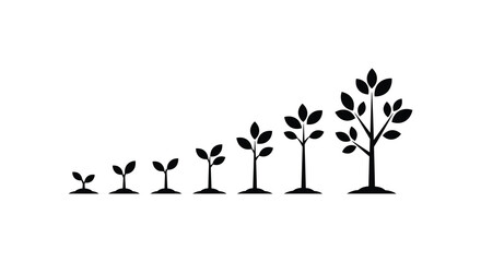 Illustrative depiction of a tree s growth stages from a seed to maturity