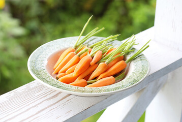 Young peeled raw carrots in a green plate on the summer porch. Selective focus.