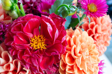 Bright summer flowers close-up