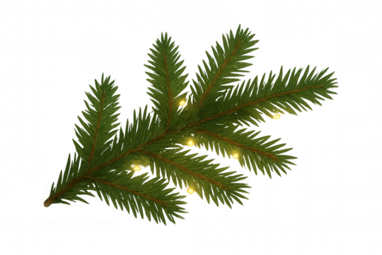 Christmas tree branch with twinkling lights, festive winter holiday season decoration on transparent background