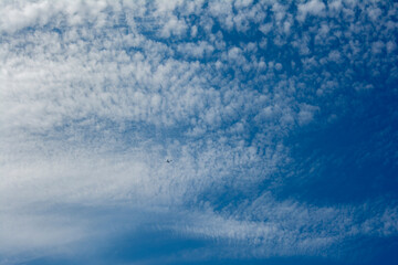 Fototapeta premium Airplane in Vast Cloudy Sky – Minimalist Aerial Concept