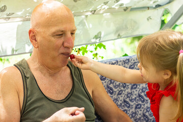 A little girl in a red T-shirt treating grandfather with delicious berries outside in the summer on a garden swing
