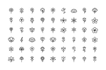 Elegant Flower Line Art Icon Collection – Minimalist Botanical Floral Outlines, Detailed Petals, Modern Hand-Drawn Bloom Illustrations for Nature, Garden, Spring, Wedding and Decoration Design Project