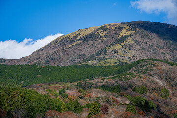 Fototapeta premium Autumn Mountain Landscape with Green Forest in Japan
