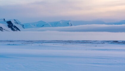 Snowy arctic landscape at twilight