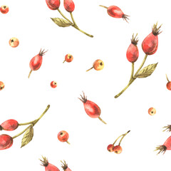 Seamless hand-painted watercolor illustration pattern with delicate rose hips, reflecting autumn charm, perfect for wrapping paper, textiles, wallpaper, and seasonal decorative projects.