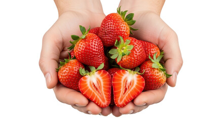 Isolated pile of freshly picked strawberries held by two hands, with one cut in half