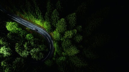aerial. Aerial view of a serene forest road winding through lush greenery under natural daylight. travel magazines, destination branding, designed for travel destination branding.