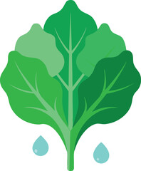 Green kale leaves with water droplets vector illustration for healthy food and nature designs