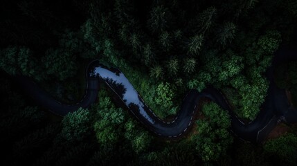 aerial. Aerial view of a serene forest road winding through lush greenery under natural daylight. travel magazines, destination branding, designed for travel destination branding.