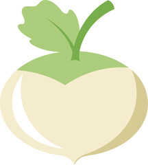 Fresh turnip vegetable illustration scalable vector graphic for healthy food projects