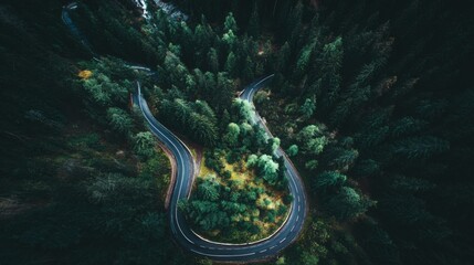 aerial. Aerial view of a serene forest road winding through lush greenery under natural daylight. travel magazines, destination branding, designed for travel destination branding.