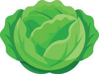 Vibrant green cabbage illustration vector art scalable healthy food ingredient