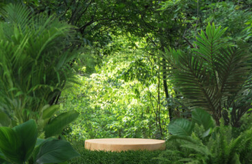 minimal podium table top with outdoors in tropical forest nature background.natural product present pedestal modern stand display,healthy life or eco concept.