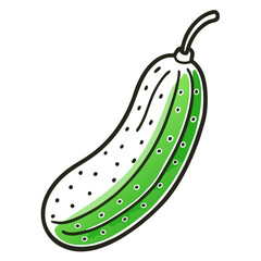 vector illustration of cucumber vegetable and fruit 