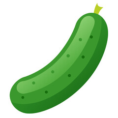 vector illustration of a cucumber