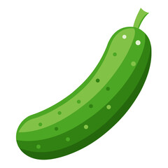 cucumber fruit on white background