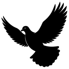 dove on a white background