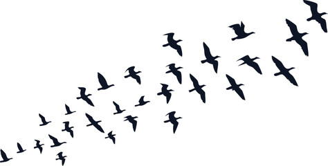 Large flock of birds flying in V-formation silhouette on white background. Elegant wildlife scene  migration, unity, and freedom. Perfect for nature, sky, and travel design projects.