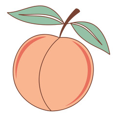 Peach with Two Green Leaves on Black Background fruit
