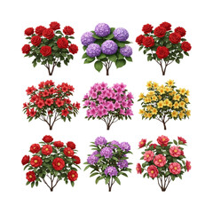 Colorful flowering bushes collection with roses, hydrangeas, rhododendrons on transparent background