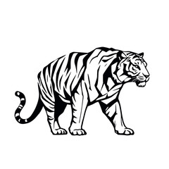 Obraz premium Isolated wild bengal tiger vector illustration on a white background