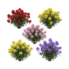 Colorful phlox flowers in red, yellow, pink, purple with transparent background