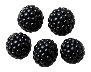 Five ripe blackberries arranged in a circular pattern.