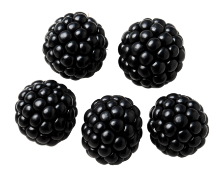 Five ripe blackberries arranged in a circular pattern.