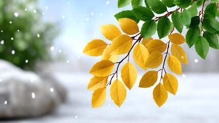 Vibrant yellow leaves gracefully hanging in a serene setting, capturing the essence of autumn's beauty and tranquility.
