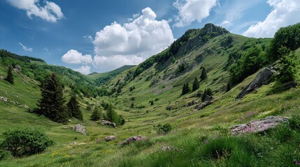 Fototapeta premium Mountain Valley Meadow With Flowers