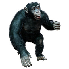 3D Rendering Chimpanzee on White