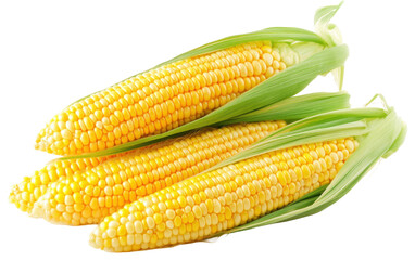 Fresh corn on white background.png