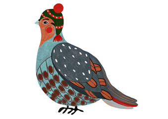Partridge bird in funny winter cap, cartoon style hand drawn illustration isolated on png background. Bright decorative design for seamless patterns, textiles, kids prints, Christmas, packing design