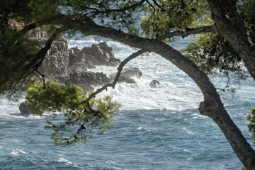 coastal view with waves crashing against dark, rugged cliffs. The foreground is naturally framed by...