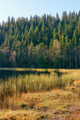 Landscape around the Svartputten Lake of the Totenåsen Hills, Norway, in September 2025.