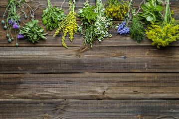 Assorted garden fresh herbs on wooden background