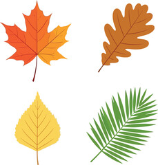 Colorful autumn leaves, including maple, oak, birch, and palm
