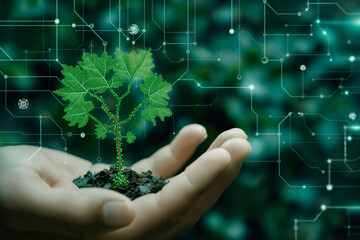 A Pair Of Human Hands Gently Holding A Small Digital Tree With Glowing Lines And Nodes In A Green Setting