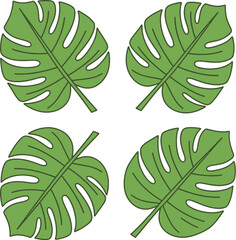 Four monstera leaves in tropical style