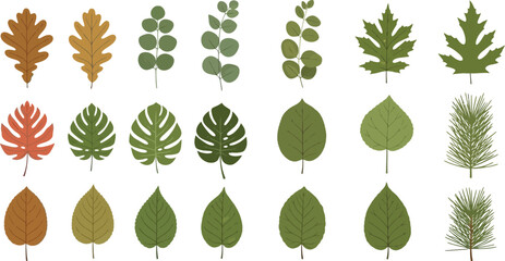 Collection of assorted leaf types in diverse shapes and textures